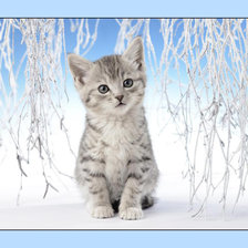 Схема вышивки «№2004839»