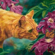 Мир животных