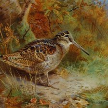 Схема вышивки «№2005437»