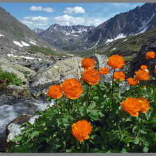 Схема вышивки «Огоньки»