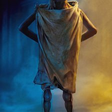 Схема вышивки «Добби»