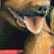 Предпросмотр схемы вышивки «Собачки.» (№2005894)