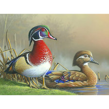 Схема вышивки «Уточки Мандаринки.»