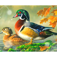 Схема вышивки «Уточки Мандаринки.»