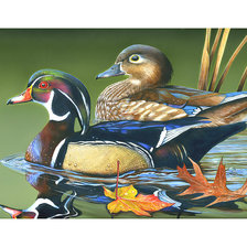 Схема вышивки «Уточки Мандаринки.»