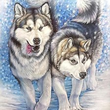 Схема вышивки «хаски»