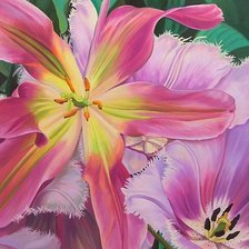 Схема вышивки «№2006353»