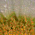 Предпросмотр схемы вышивки «Ромашки» (№2006731)