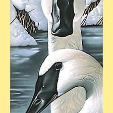 Схема вышивки «Серия "Птицы". Лебеди, пара»