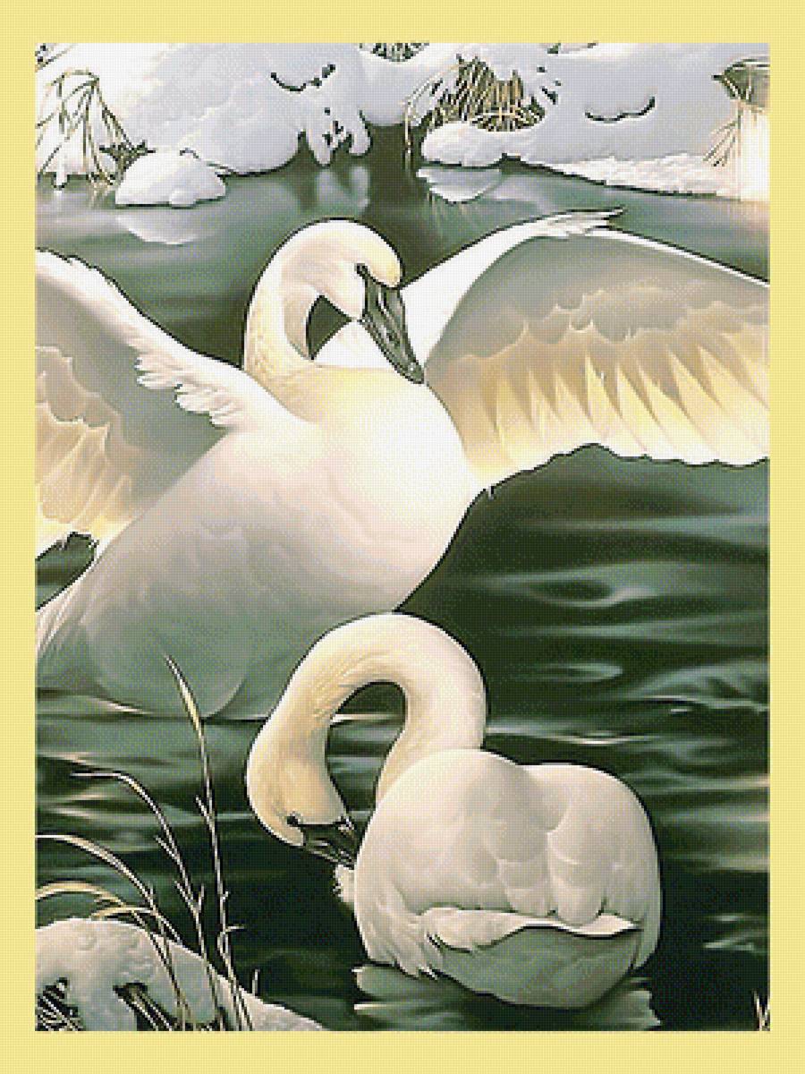 Серия "Птицы". Лебеди, пара - фауна, лебеди, птицы - предпросмотр