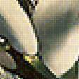 Предпросмотр схемы вышивки «Серия "Птицы"» (№2007121)