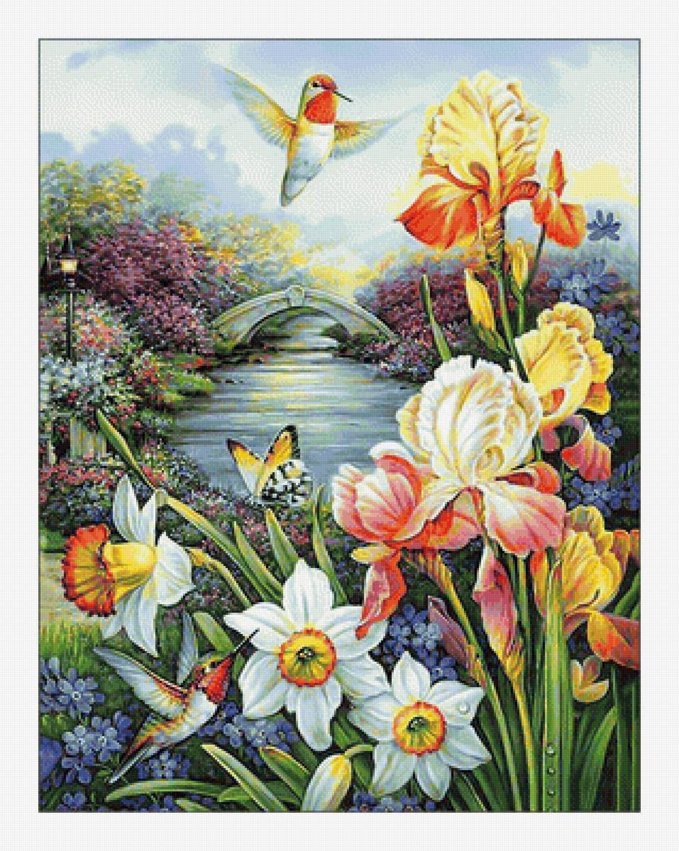 Цветы и колибри. - цветы, птицы, колибри - предпросмотр