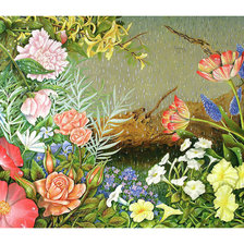 Цветы под дождём.