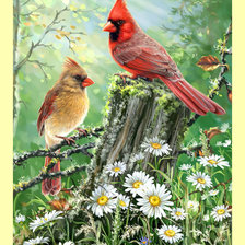 Схема вышивки «Кардиналы и ромашки.»