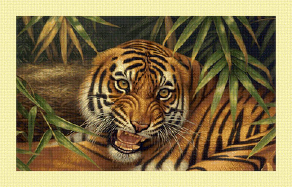 Тигруля. - тигр, хищник, животные - предпросмотр