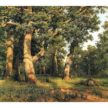 Схема вышивки «Дубовая роща.»