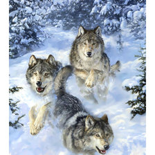 Схема вышивки «Волки.»