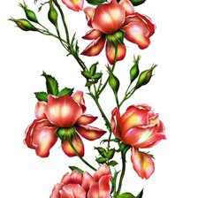 Схема вышивки «№2007462»