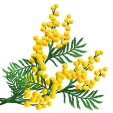 Схема вышивки «Mimosa»