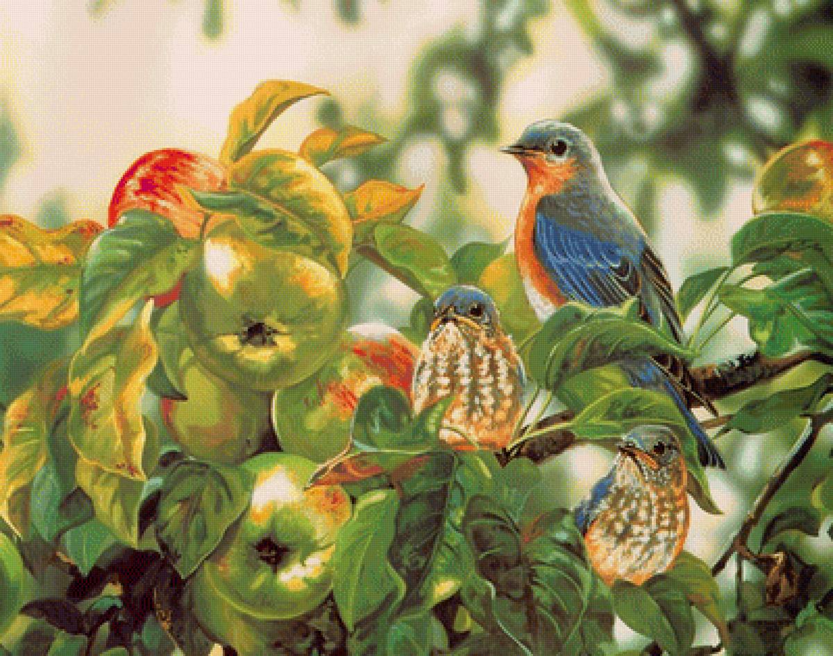 №2007579 - предпросмотр