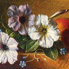 Схема вышивки «№2007655»