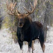 Схема вышивки «№2007672»