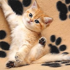 Схема вышивки «№2008254»