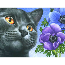 Схема вышивки «Котейка.»