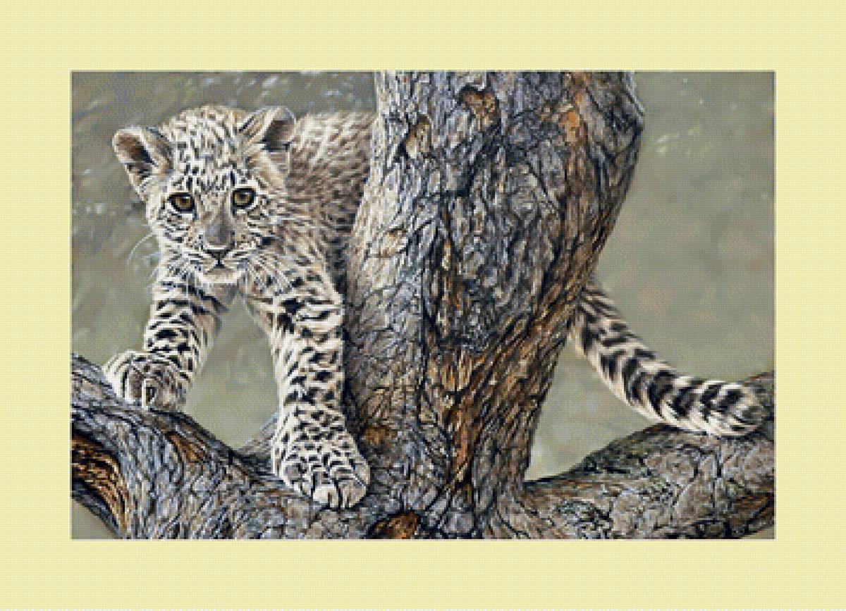 Маленький лео. - хищник, дерево, леопард, котенок, животные - предпросмотр