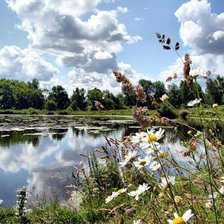 Схема вышивки «У пруда»