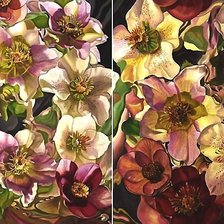 Схема вышивки «Цветы»