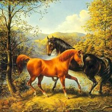 Схема вышивки «лошади»