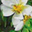 Предпросмотр схемы вышивки «Натюрморт» (№2008552)