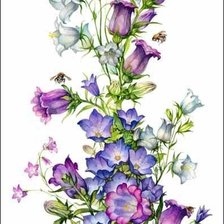 Схема вышивки «zvonky»