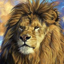 Схема вышивки «дикие»