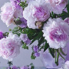 Схема вышивки «пионы»