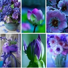 Схема вышивки «цветы»