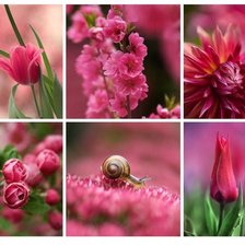 Схема вышивки «цветы»