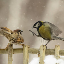 Схема вышивки «Где шлялся?»