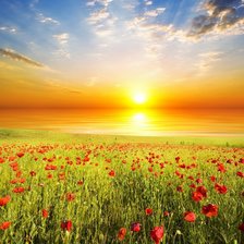 Схема вышивки «Рассвет над полем»