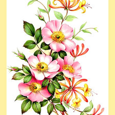 Схема вышивки «Серия "Розы". Шиповник»