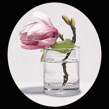 Схема вышивки «Серия "Магнолии"»