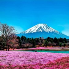 Схема вышивки «Фудзияма»