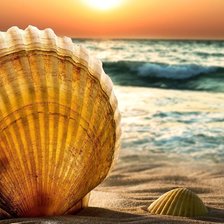 Схема вышивки «Ракушки»