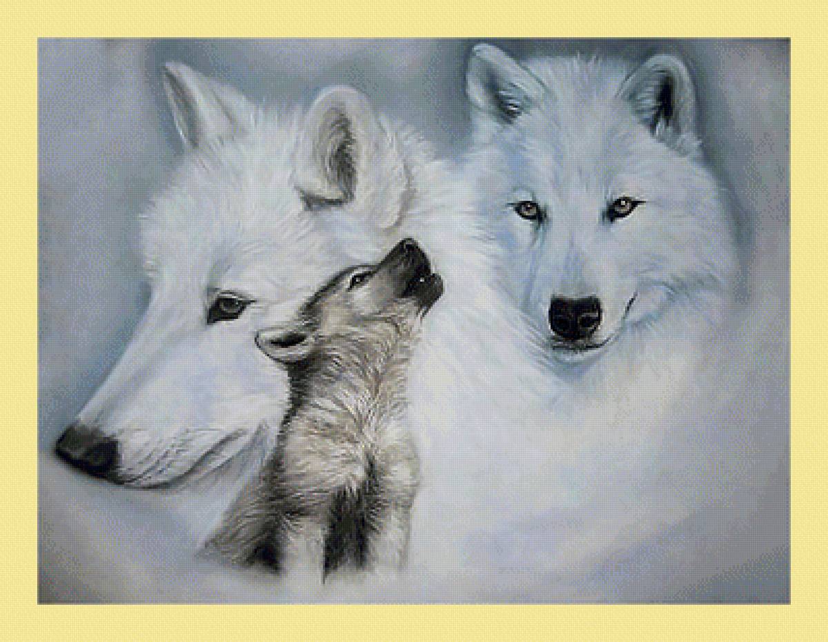 Серия "Хищники". Волки - животные, волки, хищники - предпросмотр