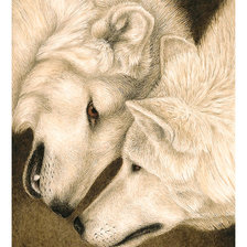 Схема вышивки «Серия "Хищники". Волки, пара»