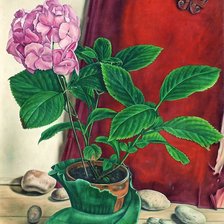 Схема вышивки «цветок и бабочка»