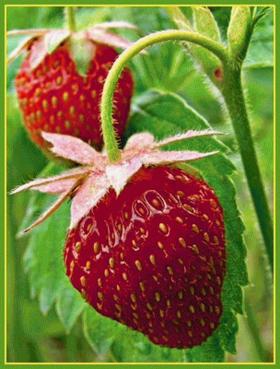 Клубничка - ягоды, клубника - предпросмотр