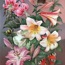 Схема вышивки «№2009249»