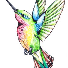 Схема вышивки «колибри»